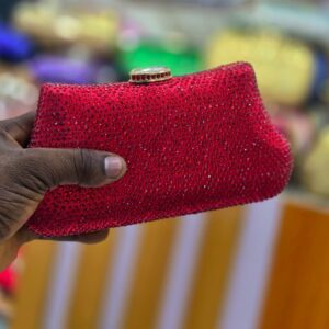 Crystal Evening Clutch Bag